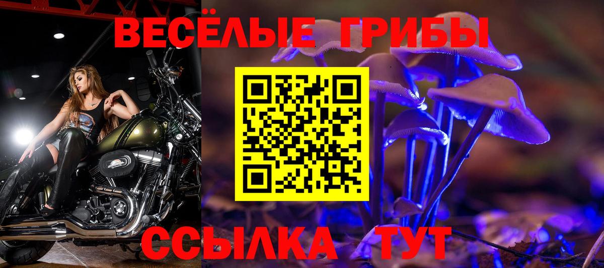 Галлюциногенные грибы мухоморы Ульяновск