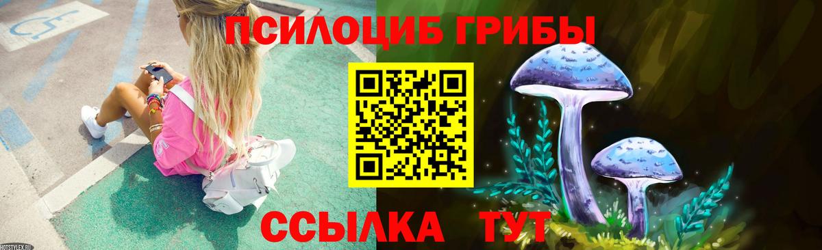 Псилоцибиновые грибы Psilocybe  Псилоцибиновые грибы мицелий  купить  сайты  Ульяновск  Вход с VPN 